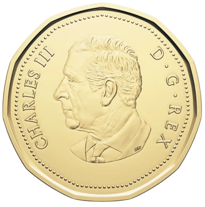 Canadian Loonie Heads Face